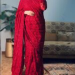 Net Saree
