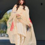 Handpaint handembalished dupatta with silk suit